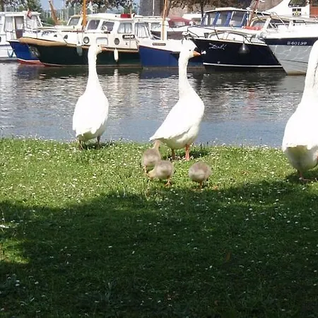 Avec Jardin Visé